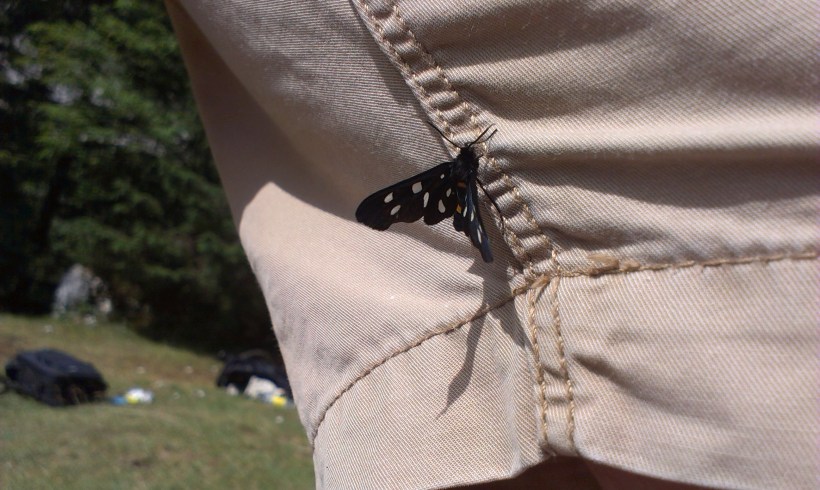 2013-07-07 15.51.35