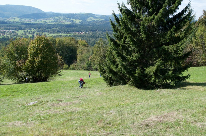 9878381976_929a020ba5_b