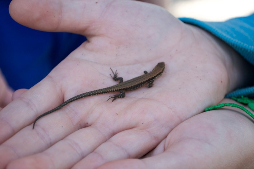 9878407465_78913520d7_b