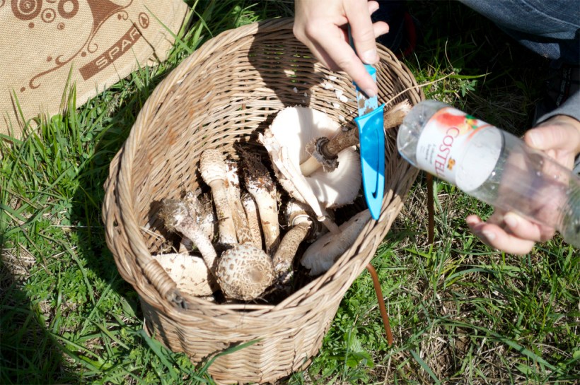 9878445703_d50d5db8d9_b